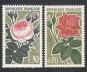 France 1962 Roses / Flowers / Nature / Horticulture / Animation 1v (n34172)