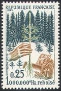 France 1965 Re-afforestation/ Forest/ Trees/ Plants/ Nature/ Tractor 1v (n42452)