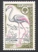 France 1970 Flamingo / Birds / Conservation / Nature / Wildlife 1v (n23228)