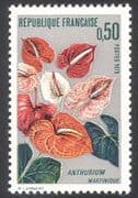 France 1973 Anthurium / Flowers / Plants / Nature / Horticulture / Arum 1v (n40723)