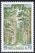 France 1991 Troncais Forest/ Forestry/ Trees/ Plants/ Nature/ Environment 1v (n43363)