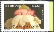 France 2005 Greetings Stamps/ Flower/ Children/ Plants/ Photography 1v s/a ex bklt (n44434)