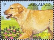 France 2011 Labrador/ Dogs/ Animals/ Nature/ Pets/ Working Dog 1v (n45282)