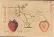 France 2011 Stamp Day/ Strawberry/ Art/ Artists/ Fruit/ Plants/ Nature 1v m/s (n45398)
