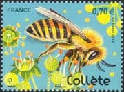 France 2016 Solitary Bees/ Insects/ Collared Bee/ Nature/ Conservation/ Flowers 1v (n45647)