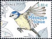 France 2018 Blue Tit/ Garden Birds/ Nature/ Wildlife/ Conservation 1v (n46251)