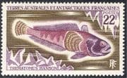 FSAT/TAAF 1971 Hanson's Rockcod/ Fish/ Nature/ Marine/ Wildlife/ Conservation/ Environment 1v (n23491)