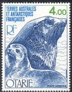 FSAT/TAAF 1979 Kerguelen Fur Seals/ Nature/ Animals/ Wildlife/ Marine 1v (n23258)