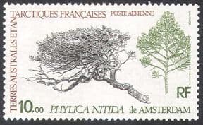 FSAT  /  TAAF 1980 Plant (Phylica nitida)  /  Nature 1v  n23210