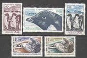 FSAT / TAAF 1981 Seals / Penguins / Birds / Marine / Nature / Wildlife 5v set (n23259)