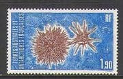 FSAT / TAAF 1986 Sea Urchin / Starfish / Echinoderm 1v n22747