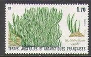 FSAT / TAAF 1988 Elephant Grass / Plants 1v (n22745)