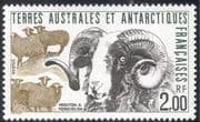 FSAT/TAAF 1989 Kerguelen Sheep/ Ram/ Animals/ Wildlife/ Nature 1v (n23485)