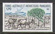 FSAT / TAAF 1990 Cattle / Tree / Birds / Nature 1v (n23173)
