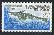 FSAT / TAAF 1991 Fish / Nature / Wildlife / Marine 1v (n23164)