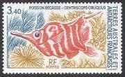 FSAT / TAAF 1993 Red-banded Snipefish / Fish / Marine / Wildlife / Nature 1v (n25581)