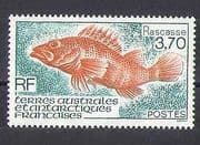 FSAT / TAAF 1994 Fish / Marine / Nature / Racasse 1v (n25584)