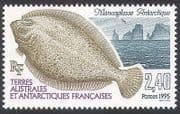 FSAT / TAAF 1995 Fish / Nature / Marine / Flounder 1v (n27853)