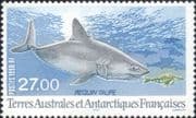 FSAT/TAAF 1998 Porbeagle Shark/ Marine/ Nature/ Wildlife/ Fish 1v (n33549)