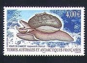FSAT / TAAF 2005 Sea Snail / Marine / Nature / Mollusc / Animation 1v (n32675)