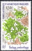 FSAT/TAAF 2008 "Galium antarcticum"/ Flowers/ Plants/ Nature/ Animated 1v (n30225)