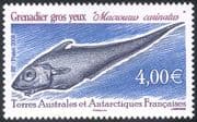 FSAT/TAAF 2008 "Grenadier Gros Yeux"/ Fish/ Marine/ Nature/ Wildlife/ Conservation 1v (n30224)
