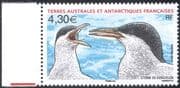 FSAT/TAAF 2010 Kerguelen Terns/ Birds/ Nature/ Wildlife/ Conservation 1v (n33026)