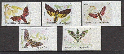 Fujeira Moths / Insects 5v IMPERF set ref:b3951