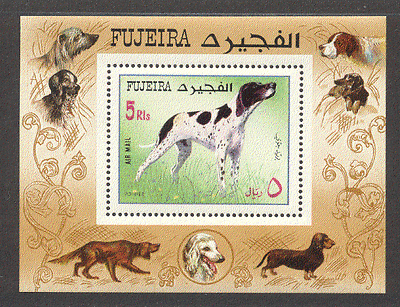 Fujeira Pointer / Dogs / Pets / Animals / Nature m / s (s970)