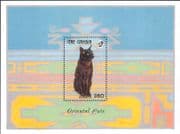 Gambia 1993 Burmese/ Domestic Cats/ Animals/ Pets/ Nature 1v m/s (b2105p)