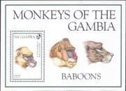 Gambia 1994 Wild Animals/ Nature/ Baboons/ Monkeys/ Wildlife 1v m/s (b4448j)