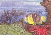 Gambia 1995 Angelfish/ Fish/ Marine/ Animals/ Wildlife/ Conservation 1v m/s (b9092a)