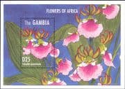 Gambia 1995 Orchids/ Flowers/ Plants/ Nature/ Orchid/ Flora 1v m/s (n13288g)