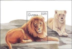 Gambia 1996  Lion/ Wild Cats/ Animals/ Nature/ Wildlife/ Lions  1v m/s  (4932p)