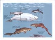 Gambia 1996 Whales/ Dolphins/ Sharks/ Marine Animals/ Nature/ Wildlife 1v m/s (b9092g)