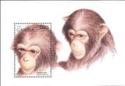 Gambia 1996 Wild Animals/ Nature/ Chimpanzee/ Apes/ Wildlife 1v m/s (b4448g)