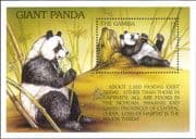 Gambia 1997 Wild Animals/ Nature/ Giant Panda/ Wildlife/ Bears 1v m/s (b4448m)