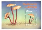 Gambia 2000 Fungi/ Mushrooms/ Plants/ Nature 1v m/s (b2232p)