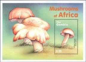 Gambia 2000  Fungi/ Mushrooms/ Plants/ Nature  1v m/s  (b7735h)