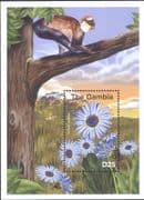 Gambia 2001 Blue-eyed Daisy/ Monkey/ Flowers/ Plants/ Nature 1v m/s (b7735t)