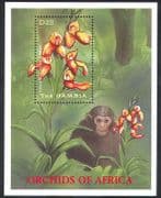 Gambia 2001 Orchids / Flowers / Plants / Nature / Chimpanzee / Orchid 1v m / s (b9156)