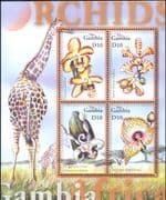 Gambia 2001 Orchids/ Flowers/ Plants/ Nature/ Orchid/ Giraffe/ Wildlife 1v m/s (n40190a)