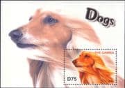 Gambia 2004 Borzoi/ Dogs/ Pets/ Working Animals/ Nature 1v m/s (b674g)