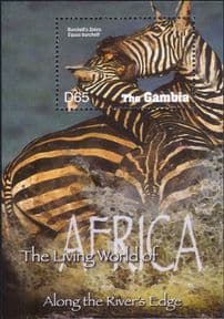 Gambia 2005  Burchell's Zebra/ Animals/ Wildlife/ Nature  1v m/s  (s3470y)