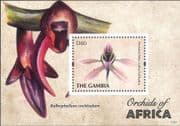 Gambia 2011 Orchids of Africa/ Nature/ Flowers/ Plants 1v m/s (b5311q)