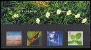 GB 2000 Millennium / Solar / Ants / Insects / Plants / Nature P Pack (b8877h)