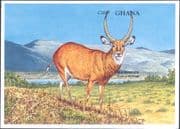 Ghana 1995 Waterbuck/ Antelope/ Wildlife/ Endangered Animals 1v m/s IMPERF (b8274e)