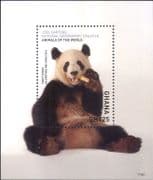 Ghana 2017 Giant Panda/ Animals/ Nature/ Wildlife/ National Geographic 1v m/s (b4448a)