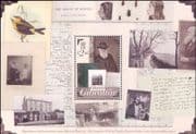 Gibraltar 2009 Charles Darwin/ Nature/ Science/ People/ Birds/ Books/ House Buildings 1v m/s (s662y)