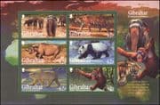 Gibraltar 2011 Tiger/ Panda/ Polar Bear/ Elephant/ Rhino/ Animals/ Nature/ Wildlife 6v m/s (b8436b)